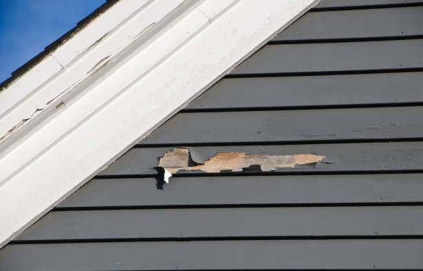 Best Same-Day Junk Removal Services  in Mcgregor, FL